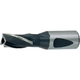 Flachsenker ohne Zapfen, Gr. 0 Produktbild